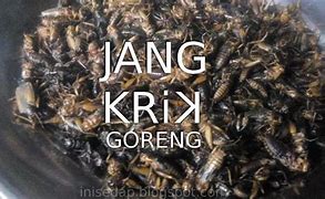 Efek Makan Jangkrik Goreng